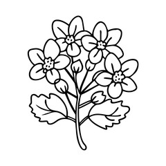 coral bells flower icon, coral bells flower line art - simple line art of coral bells flower, perfect for coral bells flower logos and icons