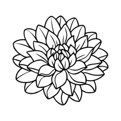 dahlia flower icon, dahlia flower line art - simple line art of dahlia flower, perfect for dahlia flower logos and icons