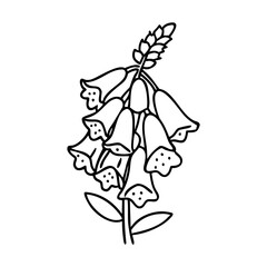 foxglove flower icon, foxglove flower line art - simple line art of foxglove flower, perfect for foxglove flower logos and icons