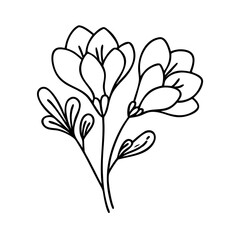 freesia flower icon, freesia flower line art - simple line art of freesia flower, perfect for freesia flower logos and icons