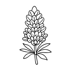 lupine flower icon, lupine flower line art - simple line art of lupine flower, perfect for lupine flower logos and icons
