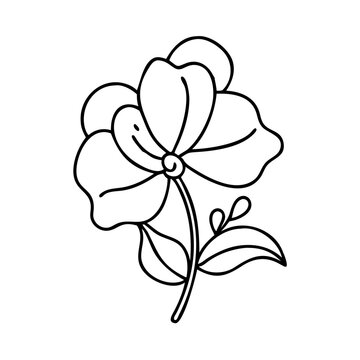 recommend clip art: sweet pea flower icon, sweet pea flower line art - simple line art of sweet pea flower, perfect for sweet pea flower logos and icons