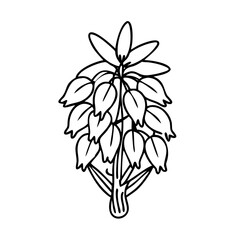 yucca flower icon, yucca flower line art - simple line art of yucca flower, perfect for yucca flower logos and icons