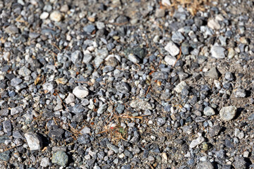 Close-up of gravel and small stones on a mountain trail surface