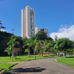 Walk in the city park
