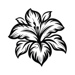 Intricate Black Floral Design with Sharp Petals Isolated on White Background