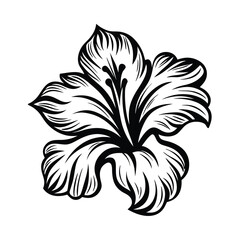 Elegant Black and White Floral Design Element Isolated 