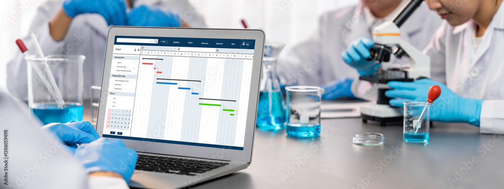 Poster project planning software for brisk business project management on the computer screen showing timel