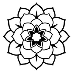 black and white rose