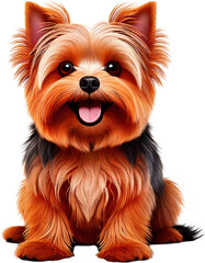 perro, yorkshire, terrier, cachorro, animal, yorkshire terrier, mascota, aislada, cuca, blanco, café, canino