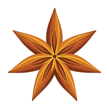 recommend clip art: Star anise and cinnamon vector art illustration