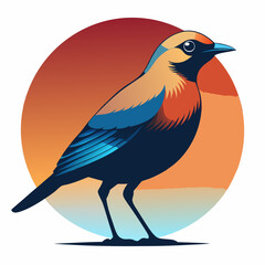 peacock head on plain black background childish style illustration