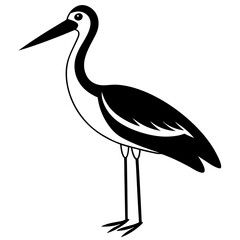 Animal Stork silhouette vector illustrator 