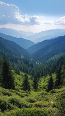 Fototapeta premium Majestic mountain valley vista with evergreen forest and distant peaks under a serene blue sky landscape nature