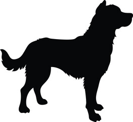 Black and white vector illustration of a dog in a wild animal silhouette style