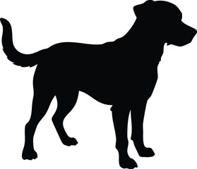 Black and white vector illustration of a dog in a wild animal silhouette style