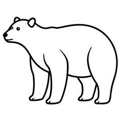 Animal polar bear silhouette vector illustrator