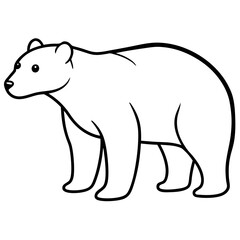 Animal polar bear silhouette vector illustrator