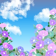 夏空に咲く朝顔