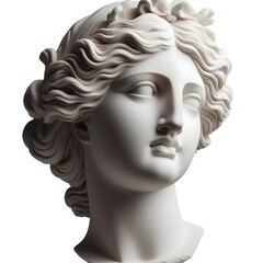 Gypsum copy of ancient statue Venus head  isolated on white background