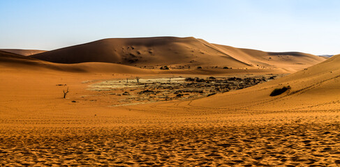 Deadvlei in Namibia surrounded by orange Dunes, Africa