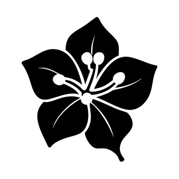 recommend clip art: bougainvillea flower icon, bougainvillea flower line art - simple line art of bougainvillea flower, perfect for bougainvillea flower logos and icons