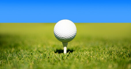 Green grass with golf ball close-up in soft focus at sunlight. Golf playground for golf club...
