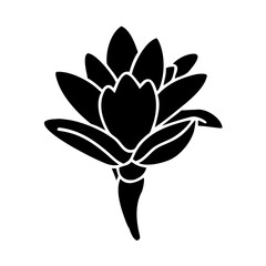 tuberose flower icon, tuberose flower line art - simple line art of tuberose flower, perfect for tuberose flower logos and icons