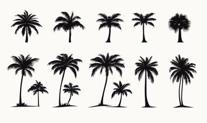 Fototapeta premium Tropical Palm Tree Silhouette Vector Set for Design and Decor Projects