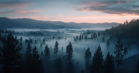 Obraz premium Misty forest valley at dawn with serene blue and pink hues.