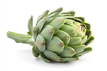 Fototapeta premium Isolated Artichoke Close Up on White Background for Food Photography