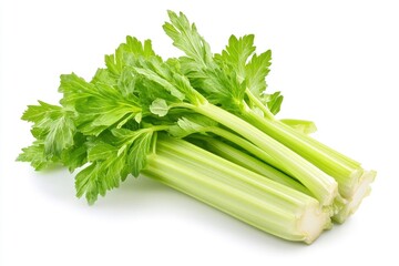 Fresh Celery Stalks with Green Leaves on White Background Still Life
