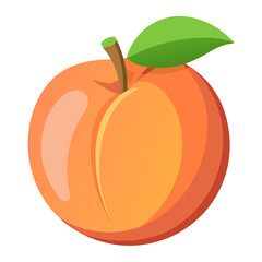 Delicious juicy peach fruit vector illustration for healthy eating and summer season design projects
