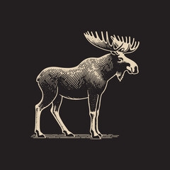 Fototapeta premium Moose Vector Illustration – Vintage Retro Logo Design on Black Background