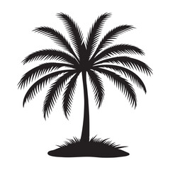 The Grace of Palm Leaves