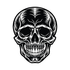 Fototapeta premium human skull vector illustration