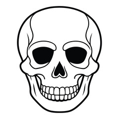 Obraz premium human skull vector illustration