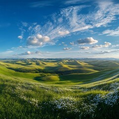 Obraz premium Rolling Green Hills under a Beautiful Blue Sky with White Clouds and Wildflowers in Tuscany, Italy on a Sunny Summer Day