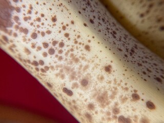 macro ripe skin of a banana
