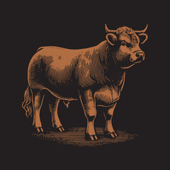 Fototapeta premium Hereford Cattle Vector Illustration – Vintage Retro Logo Design on Black Background