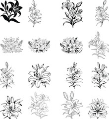 Lily Flower svg,Floral Svg bundle