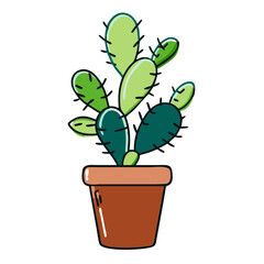 Potted crown of thorns cactus thriving in a warm indoor setting  