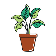 Potted dumb cane plant thriving in a brown pot  