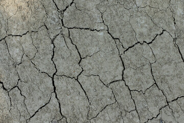 Drought causes surface soil cracks, showcasing visible impacts of global warming, as the Earth's balance shifts under rising temperatures and environmental challenges.
