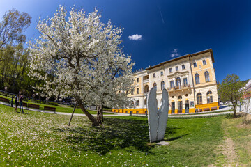 Kwitnąca magnolia i Stary Dom Zdrojowy w Krynicy-Zdroju. © Jacek