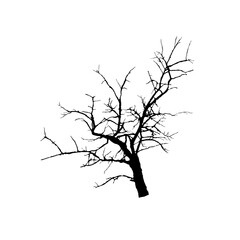 Silhouette Bare Branch Without Leaves. Fragment of Winter Tree Vector