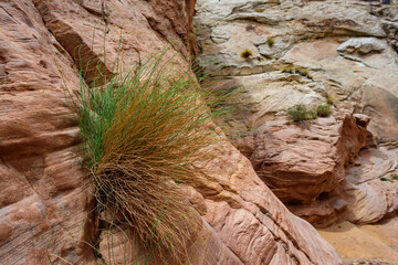 Eroded by water and wind cliffs in the canyon, Little Wild Horse Canyon, San Rafael Swell, Utah