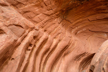 Eroded by water and wind cliffs in the canyon, Little Wild Horse Canyon, San Rafael Swell, Utah