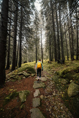 Liptov region hiking in jasna in Low Tatras mountains landscape, slovakia.