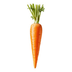 Carrot vegetable Isolated on transparent background